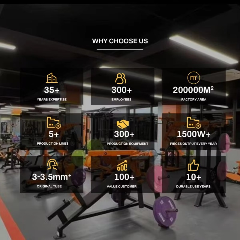 YTYIN Macchina per Bicipiti Re - Heavy Equipment Center recensione e prezzo