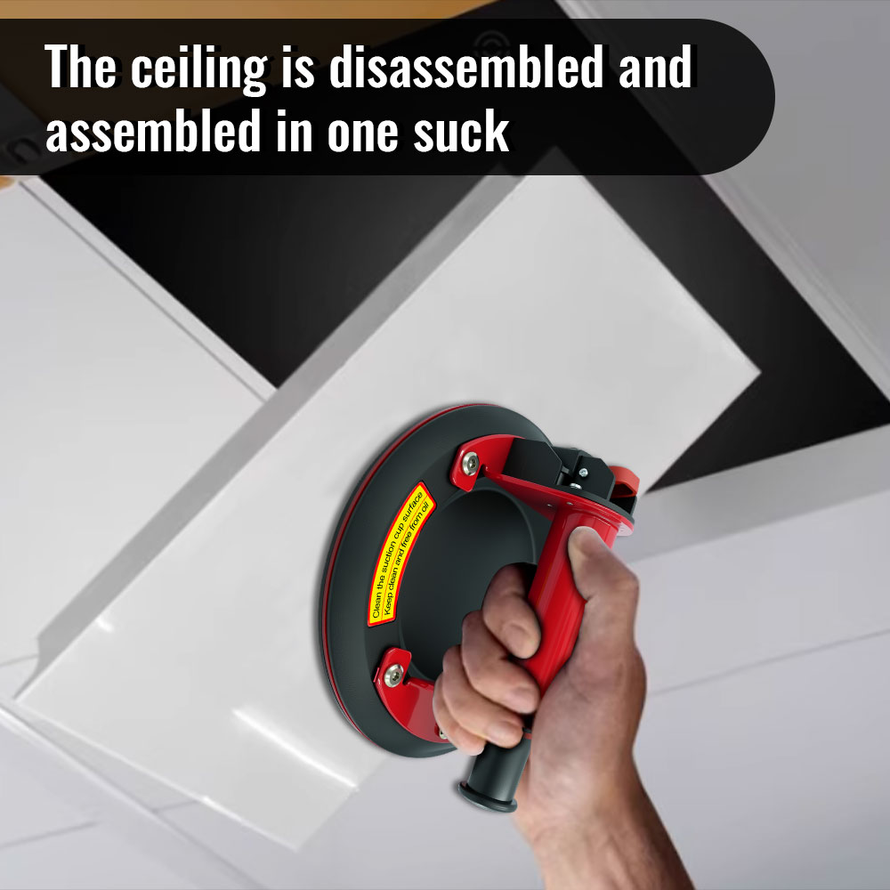 Ventosa a Vuoto con Capacità d - Vacuum Suction Cup Lifter recensione e prezzo